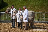 Devon County Show 2026