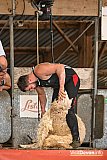 Devon County Show 2026