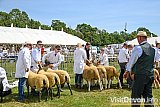 Devon County Show 2026