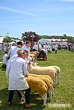 Devon County Show 2026
