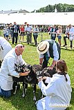 Devon County Show 2026