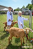 Devon County Show 2026
