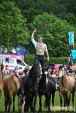 Atkinson Action Horses
