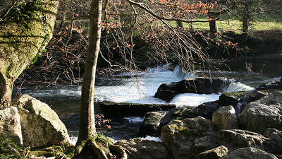 River Walkham Valley and Buckland Monachorum