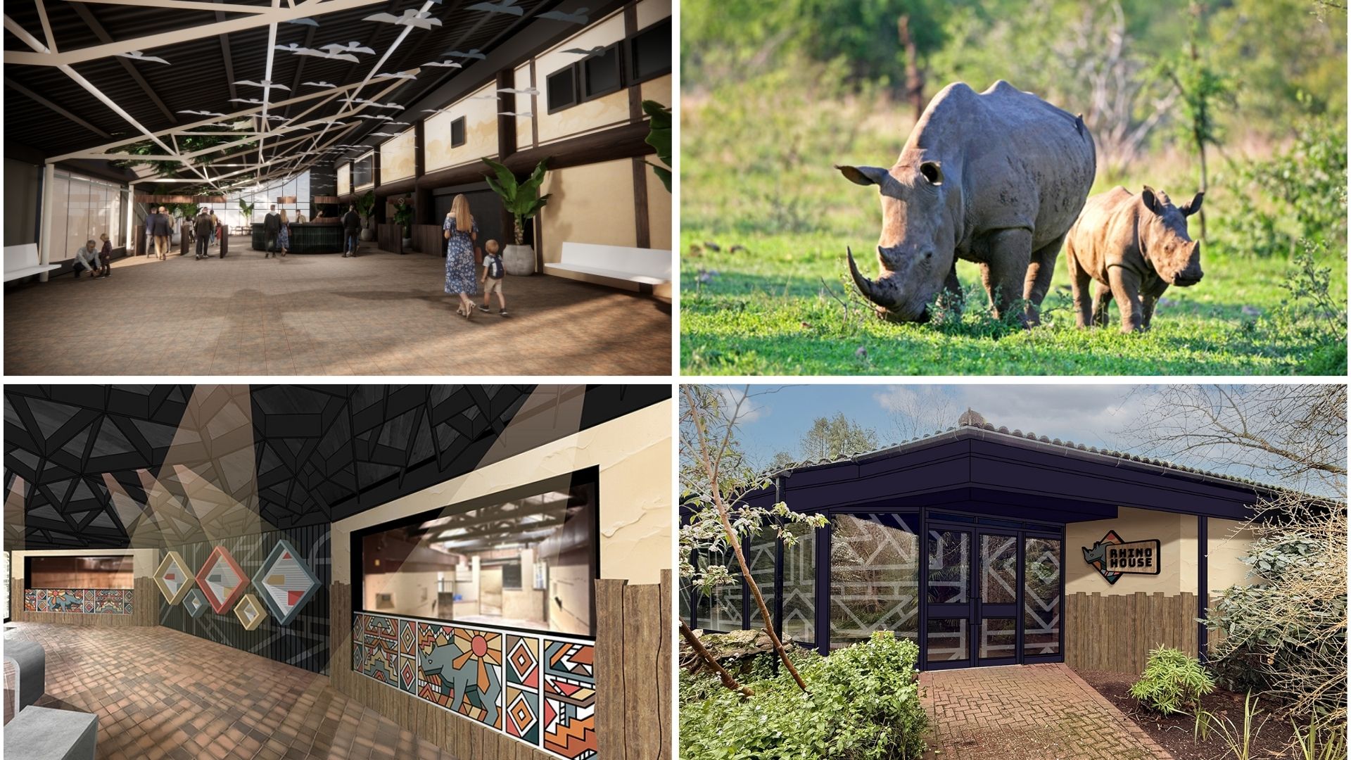 Major Transformation at Paignton Zoo with New Habitats, Species, and Visitor Experience