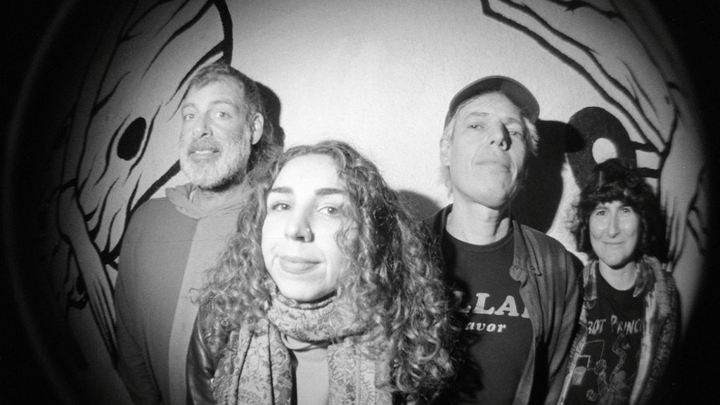 Jeffrey Lewis & The Voltage