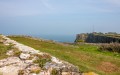 Berry Head National Nature Reserve 
