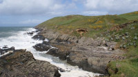 Baggy Point