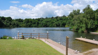 Decoy Country Park Decoy Country Park