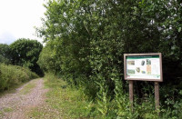 Knapp Copse Local Nature Reserve