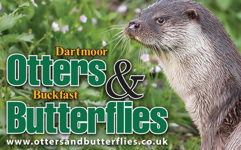 Buckfast Butterfly Farm and Dartmoor Otter Sanctuary