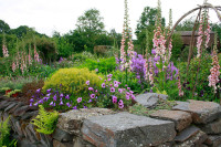 RHS Garden Rosemoor