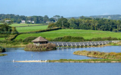 Seaton Wetlands